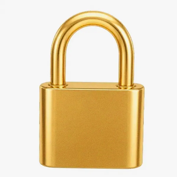 Orange padlock — Yukon Gold